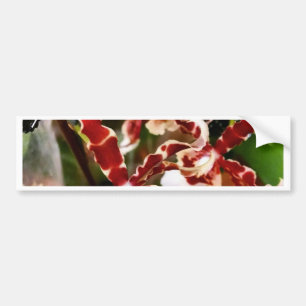 Adesivo Para Carro Orquídea
