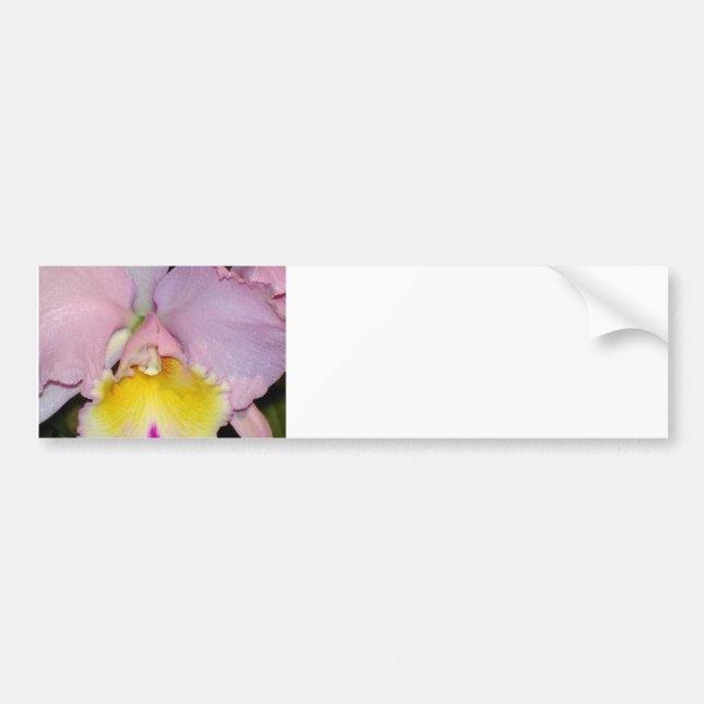 Adesivo Para Carro Orquídea primavera (Frente)