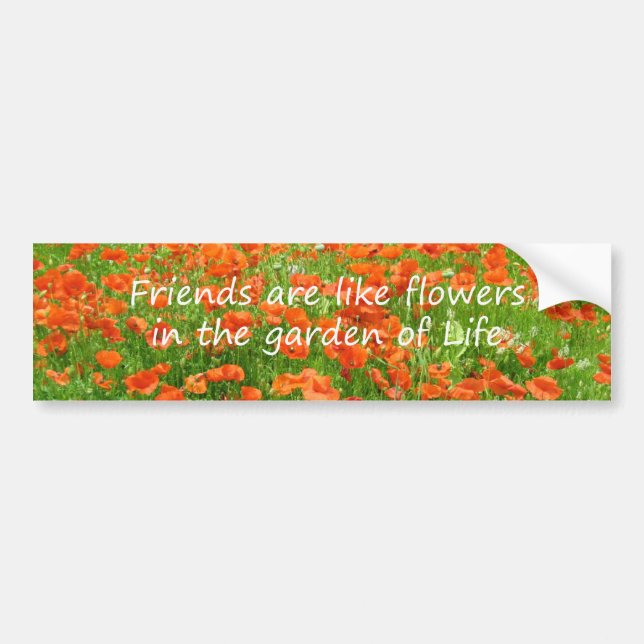 Adesivo Para Carro Os amigos são como flores (Frente)