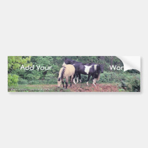 Adesivo Para Carro Os cavalos BumperSticker-personalizam