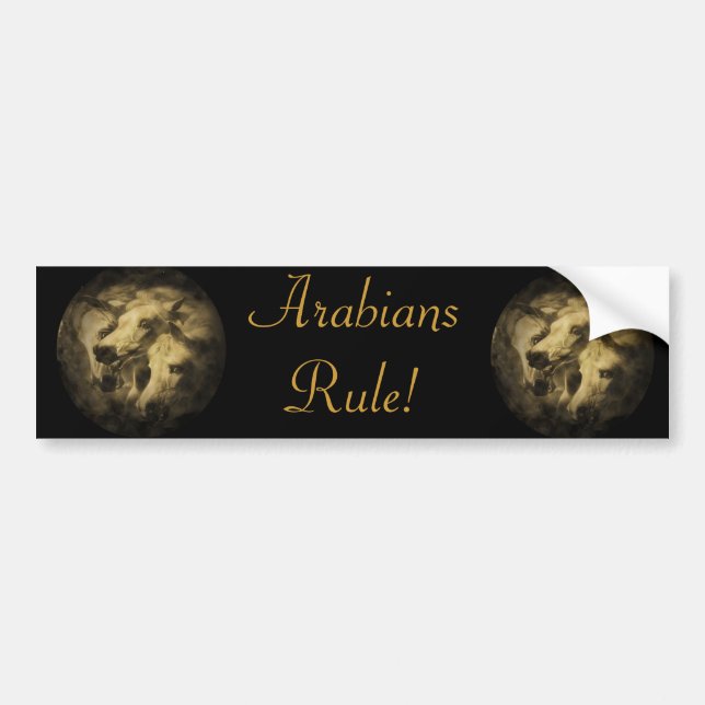 Adesivo Para Carro Os cavalos do Pharoah (Frente)