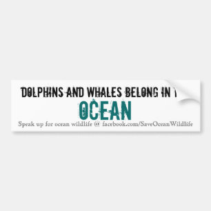 Adesivo Para Carro Os golfinhos e as baleias pertencem no oceano
