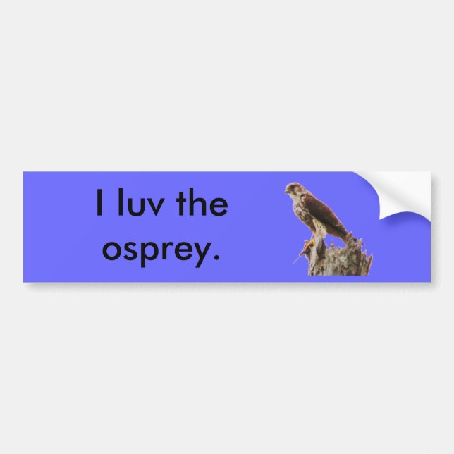 Adesivo Para Carro Osprey 2 (Frente)