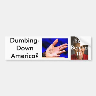 Adesivo Para Carro Palin3