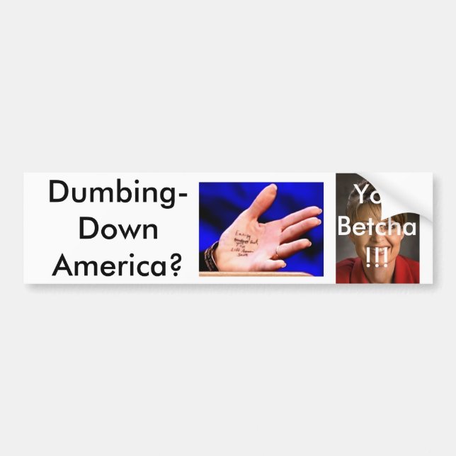 Adesivo Para Carro Palin3 (Frente)