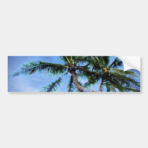 Adesivo Para Carro Palm Tree