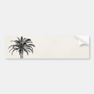 Adesivo Para Carro Palmeira tropical retro da ilha em preto e branco