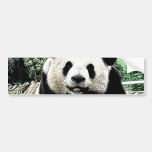 Adesivo Para Carro Panda