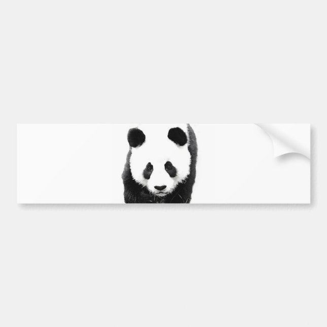 Adesivo Para Carro Panda (Frente)