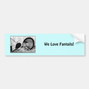 Adesivo Para Carro Par Fantail