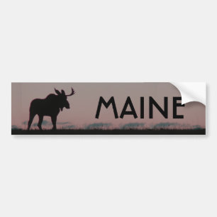 Adesivo Para Carro pára-choque do silouette dos alces, MAINE