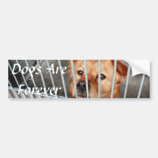 Adesivo Para Carro Para sempre