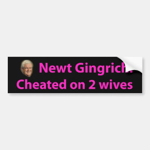 Adesivo Para Carro Pare Newt Gingrich!