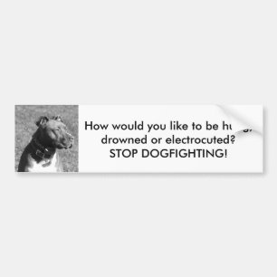 Adesivo Para Carro Pare o autocolante no vidro traseiro de