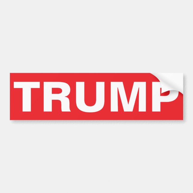 ADESIVO PARA CARRO PARE O TRUMP (Frente)