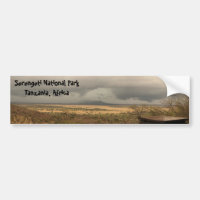 Parque nacional Tanzânia de Serengeti, África