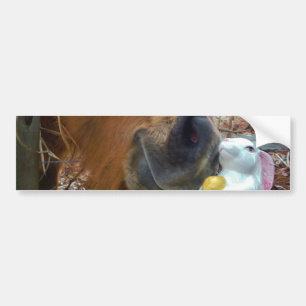 Adesivo Para Carro Páscoa Bunny e Cavalo Marrom