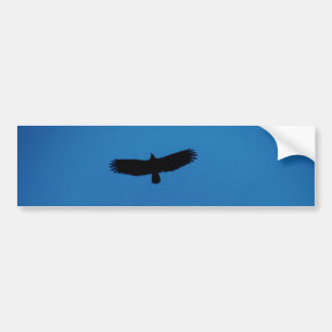Adesivo Para Carro Pássaro preto em um céu azul