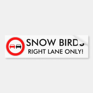 Adesivo Para Carro Pássaros da neve