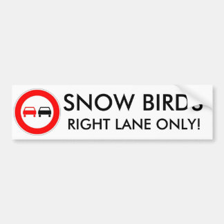 Adesivo Para Carro Pássaros da neve