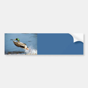 Adesivo Para Carro Pato do autocolante no vidro traseiro/pato
