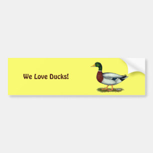 Adesivo Para Carro Pato Drake do pato selvagem