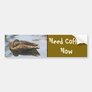 Adesivo Para Carro Pato Engraçado Precisa de Café