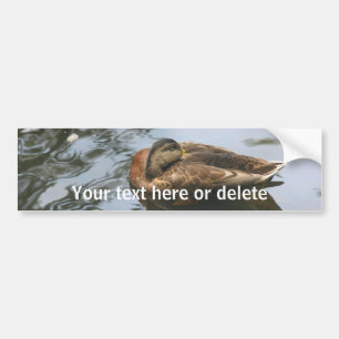 Adesivo Para Carro Pato Sonolento Nature Personalizado