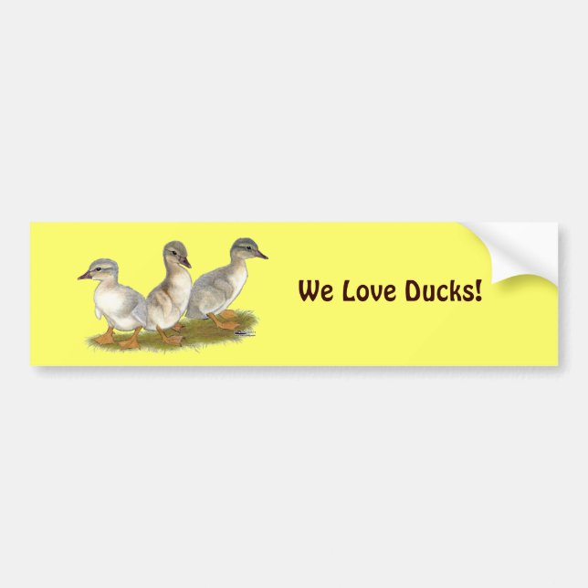 Adesivo Para Carro Patos de Saxônia (Frente)