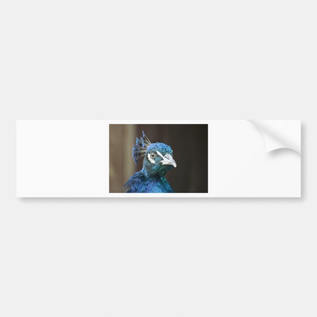 Adesivo Para Carro pavão (Frente)