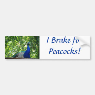 Adesivo Para Carro Pavão