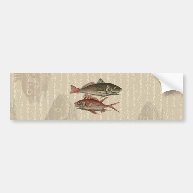 Adesivo Para Carro Peixe Red Perch Pescador Art (Frente)