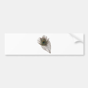 Adesivo Para Carro Pena de Peacock