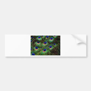 Adesivo Para Carro Penas de Peacock