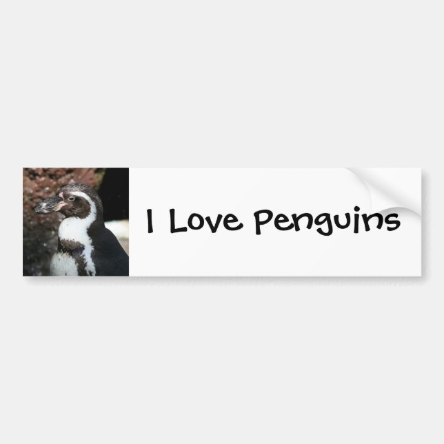 Adesivo Para Carro Penguin Bumper Sticker (Frente)