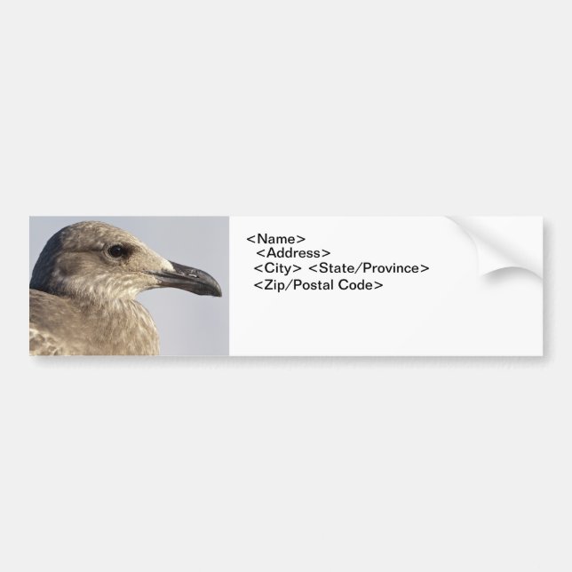 Adesivo Para Carro Perfil de Seagull (Frente)