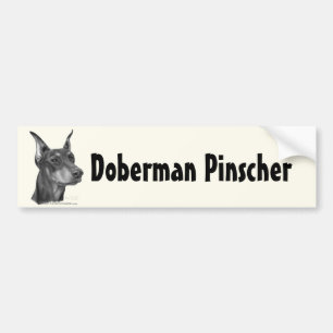 Adesivo Para Carro Pinscher do Doberman