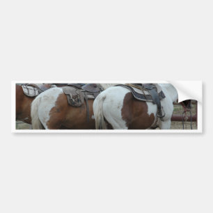 Adesivo Para Carro Pinte a cauda do cavalo