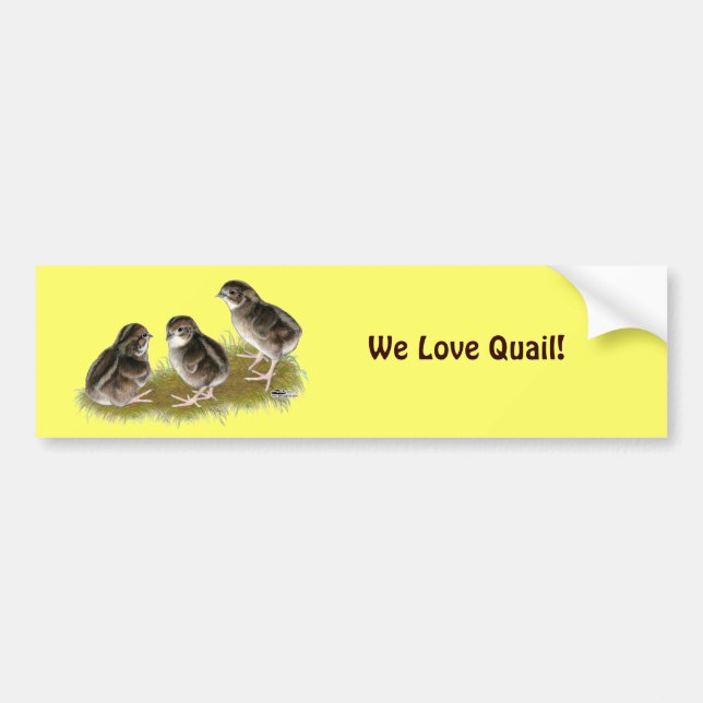Adesivo Para Carro Pintinhos Coturnix Quail (Frente)