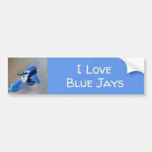 Adesivo Para Carro Pintura Blue Jay - Arte Original para Pássaros
