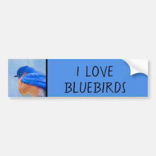 Adesivo Para Carro Pintura Bluebird - Arte Original para Pássaros