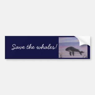 Adesivo Para Carro Pintura da baleia de Humpback