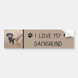 Adesivo Para Carro Pintura de Dachshund (Suave) - Arte Original de C