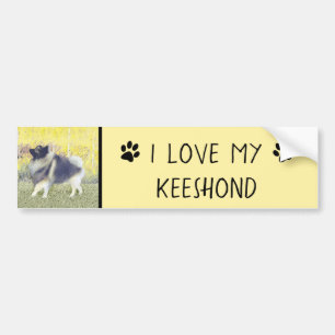 Adesivo Para Carro Pintura de Keeshond Aspen - Arte de Cachorro Origi
