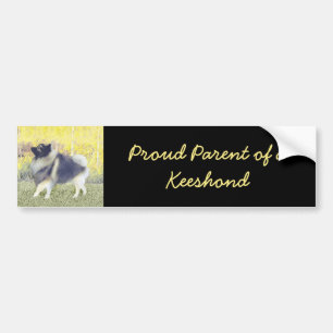 Adesivo Para Carro Pintura de Keeshond Aspen - Arte de Cachorro Origi