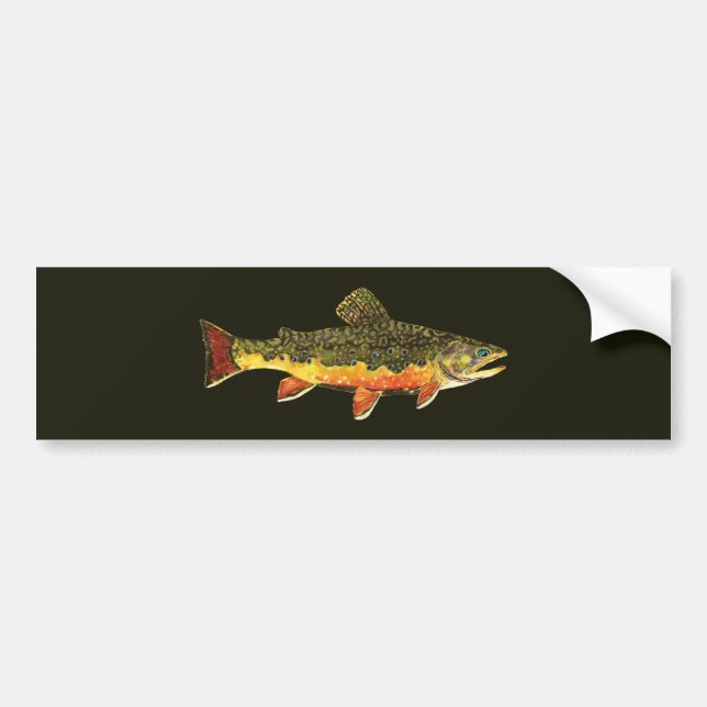 Adesivo Para Carro Pintura de Peixes Brook Trout (Frente)
