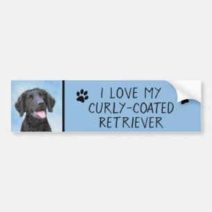 Adesivo Para Carro Pintura De Retriever Revestida Curly - Arte De Cã