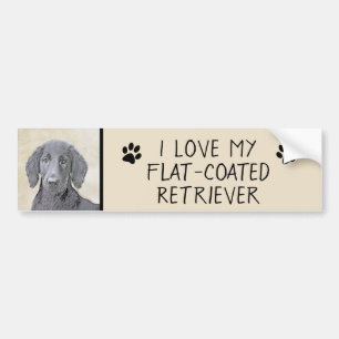 Adesivo Para Carro Pintura De Retriever Revestida Plana - Arte De Cão