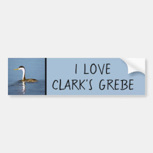Adesivo Para Carro Pintura em Grebe de Clark - Arte de Pássaro Origi
