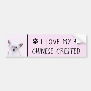 Adesivo Para Carro Pintura em pó chinesa - Arte canina